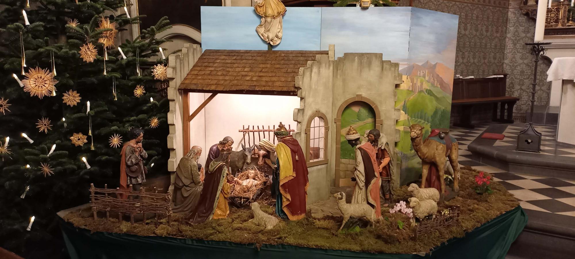 Kirppe Eller 2025 (9)a